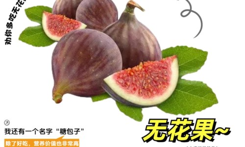 生竹茹的功效与作用及禁忌症-生竹茹的功效与作用网 - 为你提供生竹茹的功效与作用图片、生竹有什么功效