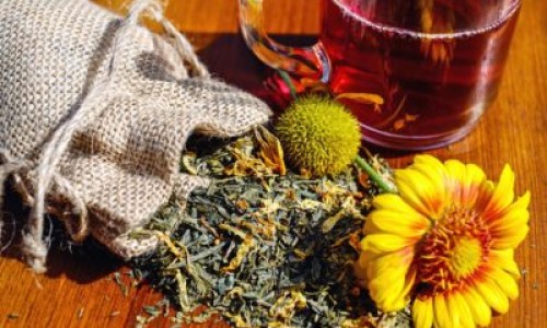 生竹茹的功效与作用网 - 为你提供生竹茹的功效与作用图片、生竹有什么功效